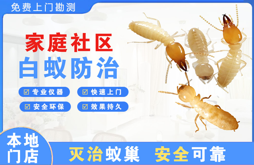 三明家庭社区白蚁防治