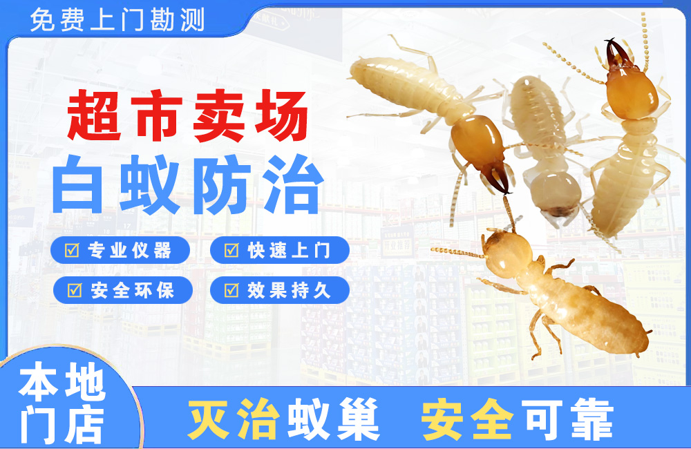 三明超市卖场白蚁防治