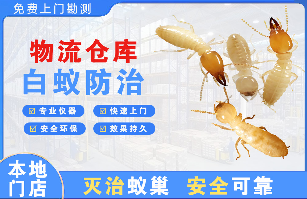 三明物流仓库白蚁防治