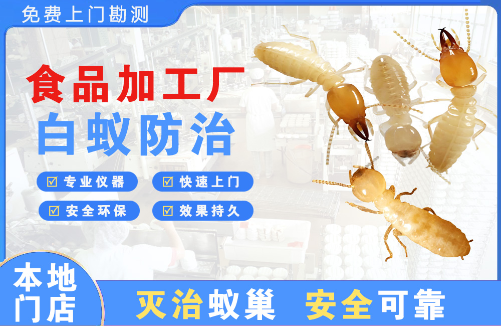 三明食品加工厂白蚁防治