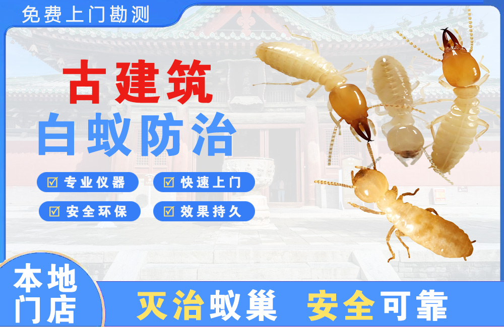 三明古建筑白蚁防治