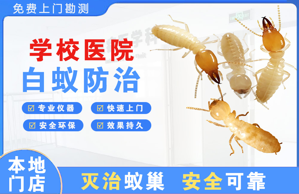 三明学校医院白蚁防治