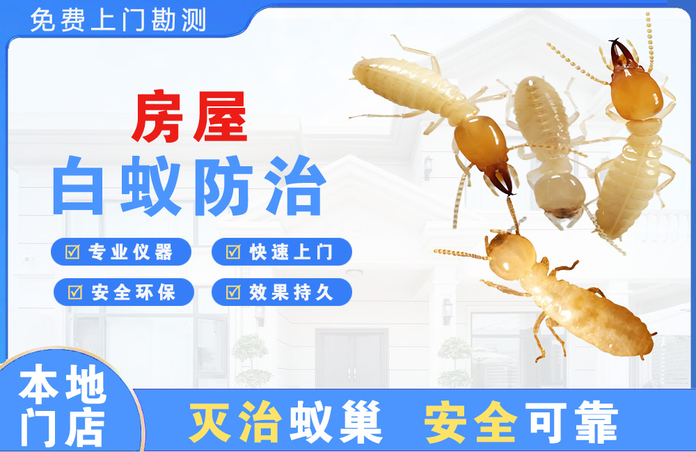 三明房屋白蚁防治