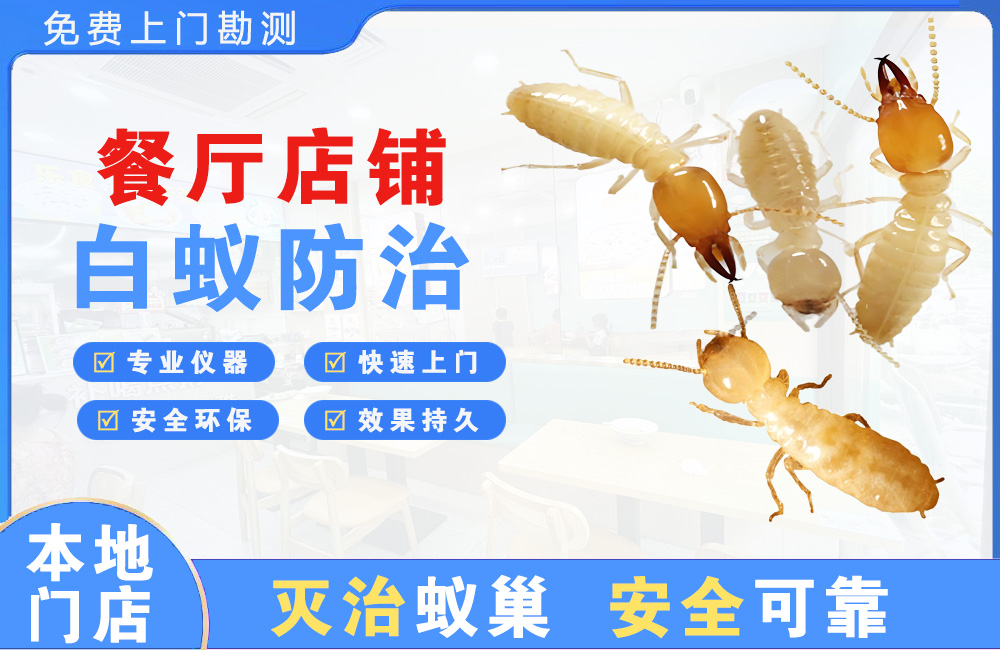 三明餐厅店铺白蚁防治